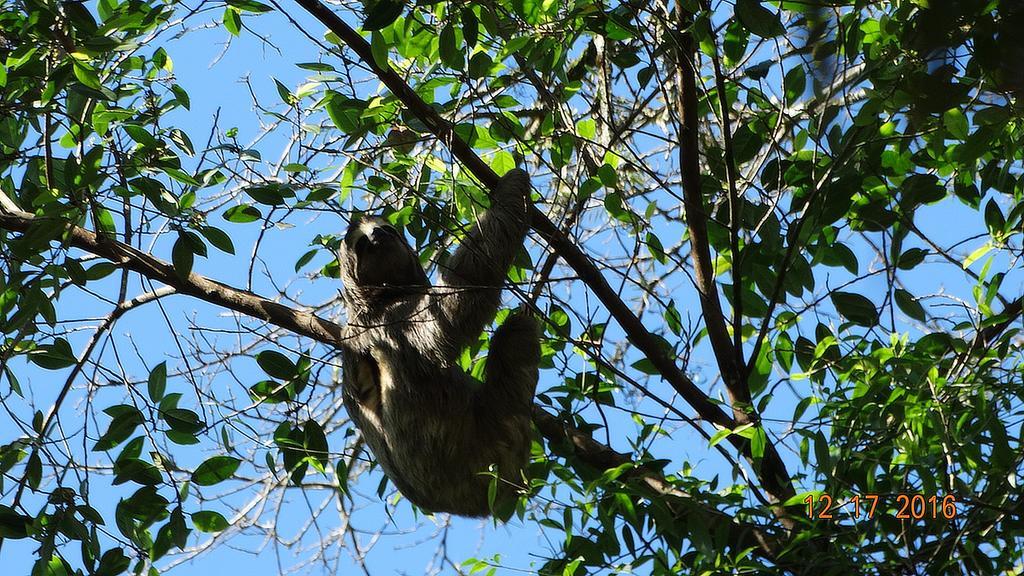 Chales Bangalos Itamambuca Ubatuba Dış mekan fotoğraf